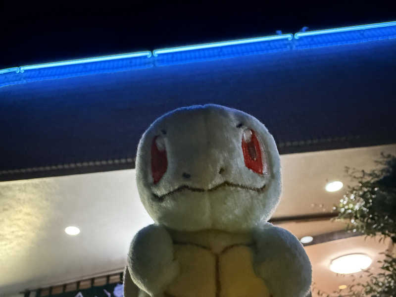 るさんの亀遊舘のサ活写真