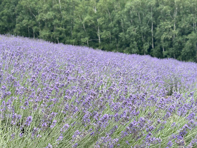 🍀Shoooさんのスポーツクラブ&サウナスパ ルネサンス 東札幌24のサ活写真