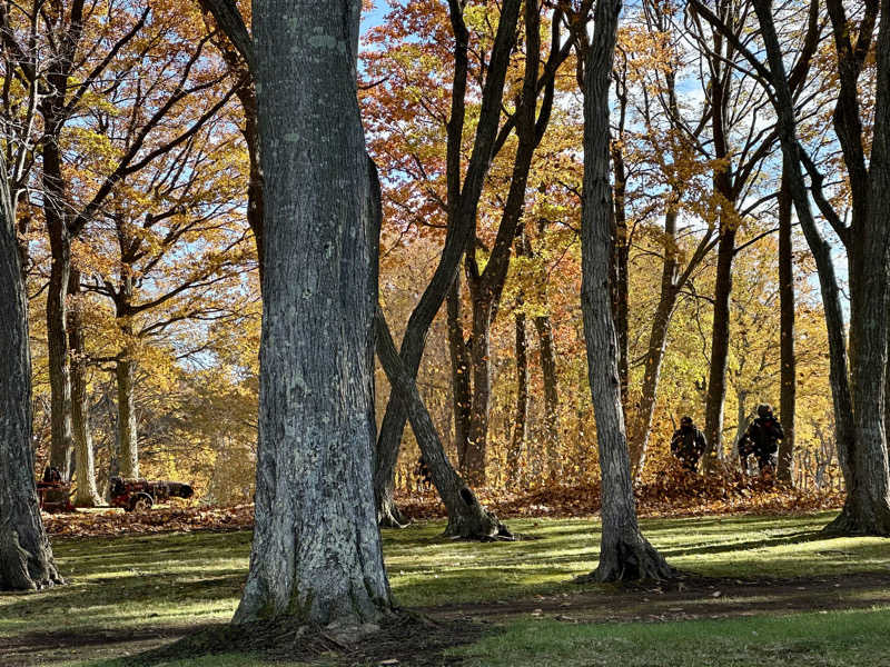 🍀Shoooさんのスポーツクラブ&サウナスパ ルネサンス 東札幌24のサ活写真