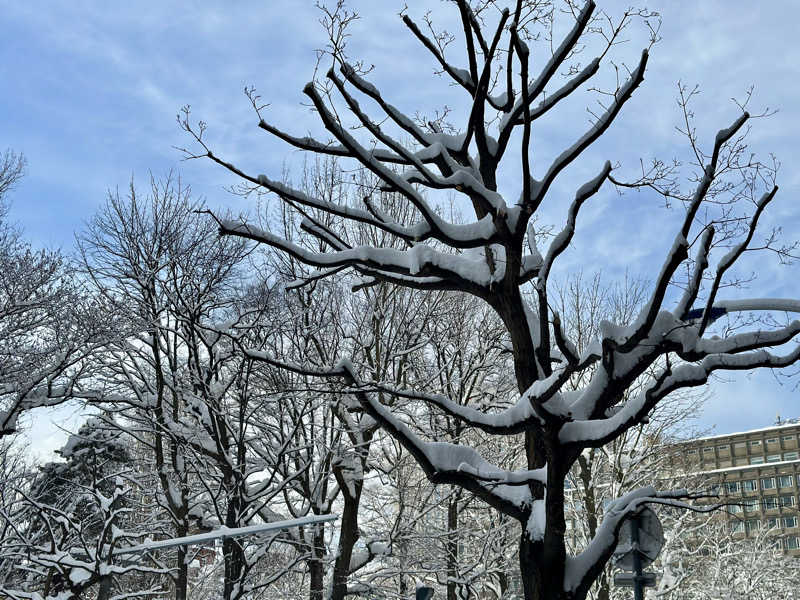 🍀Shoooさんのスポーツクラブ&サウナスパ ルネサンス 東札幌24のサ活写真