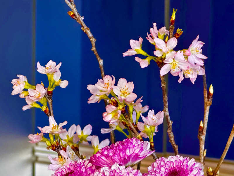 🍀Shoooさんのスポーツクラブ&サウナスパ ルネサンス 東札幌24のサ活写真