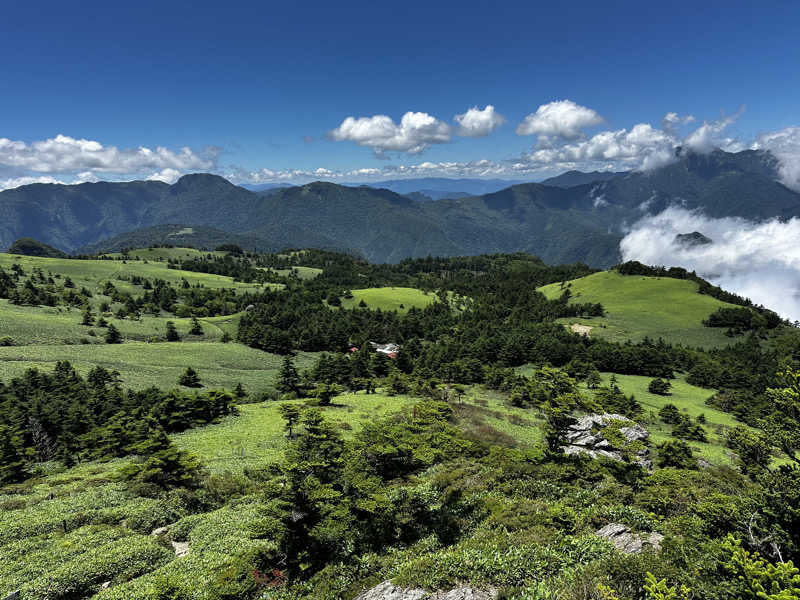 ゆーちさんの南道後温泉ていれぎの湯のサ活写真