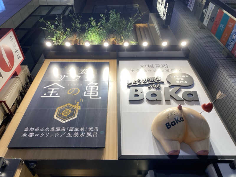 Shogoさんの生姜サウナ 金の亀のサ活写真