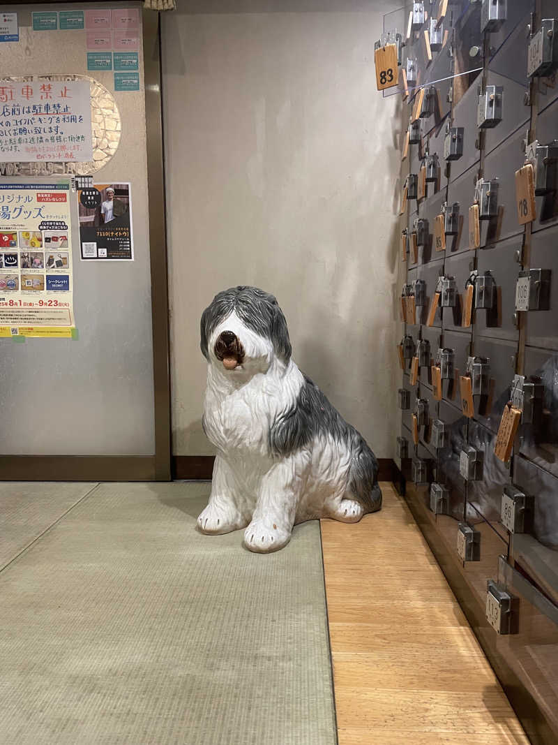 かずみさんのビバークランド ロードの湯のサ活写真