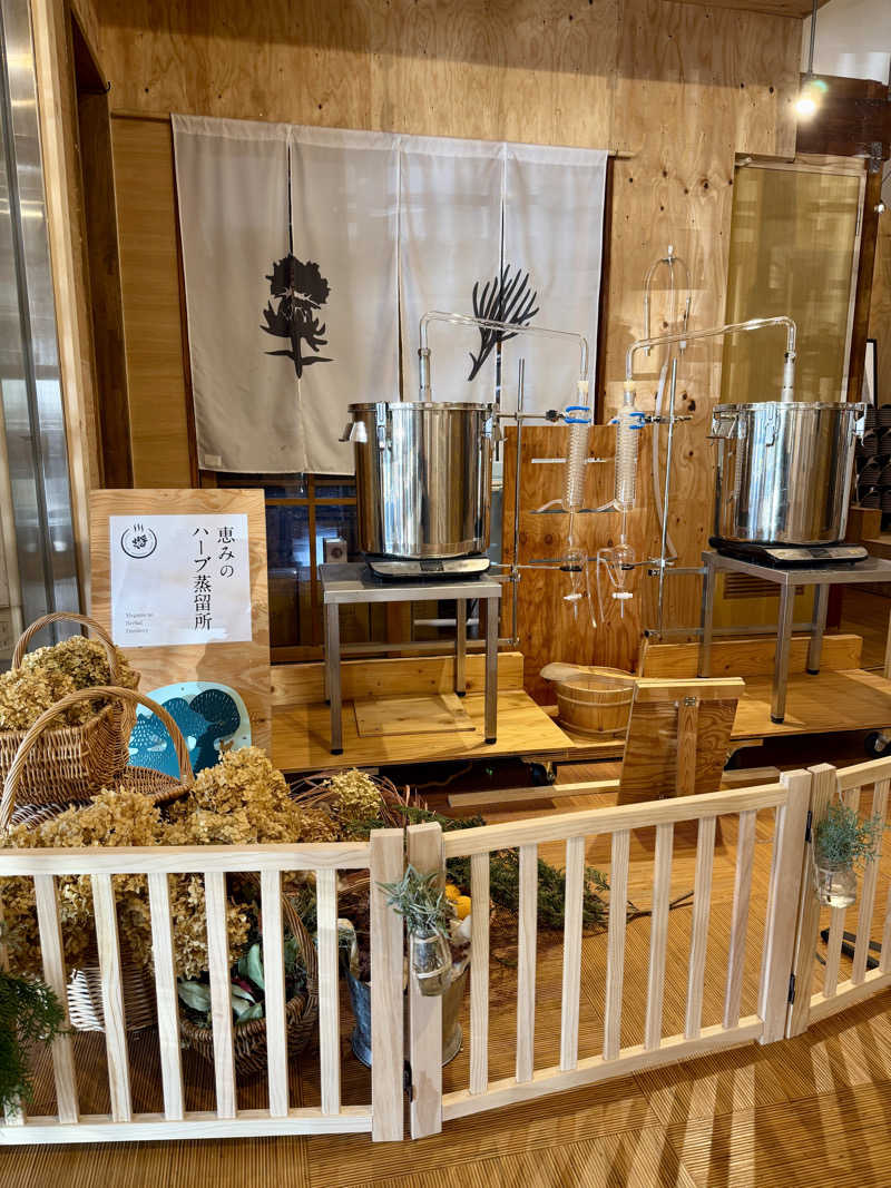 NAOさんの岐阜各務原 恵みの湯のサ活写真