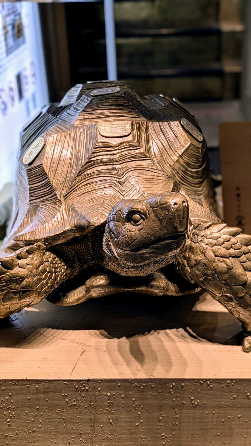 蒸彦さんの生姜サウナ「金の亀」のサ活写真