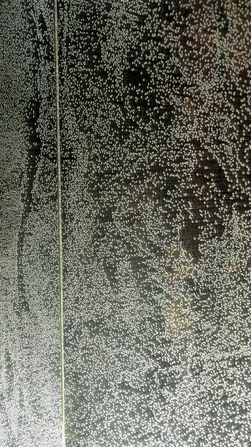 おこげさんの湊湯のサ活写真