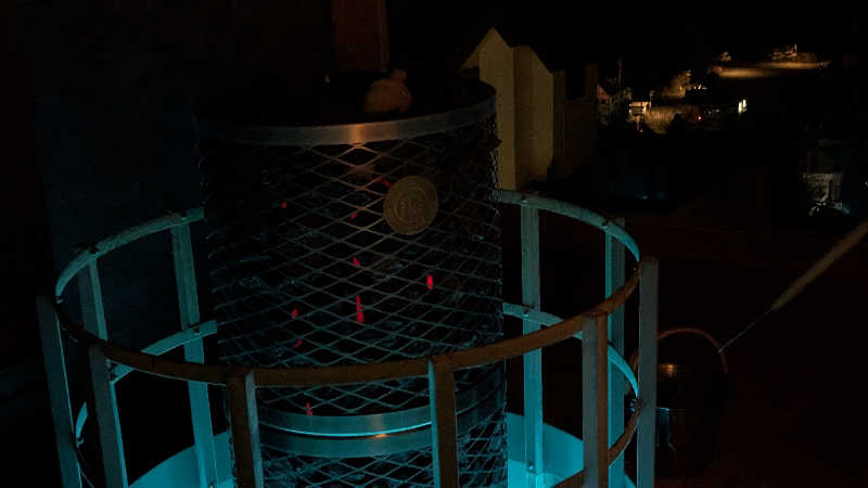 おこげさんの陽日の郷 あづま館のサ活写真