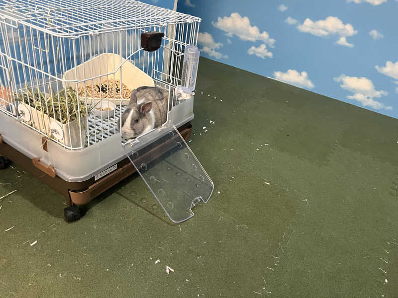 なさんのアクアリゾート 岐阜ふじの湯のサ活写真