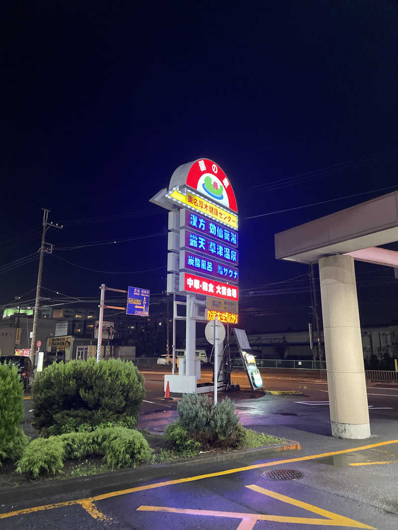 ピノすけさんの湯の泉 東名厚木健康センターのサ活写真