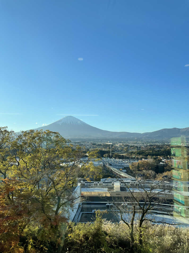 ピノすけさんの木の花の湯(HOTEL CLAD)のサ活写真