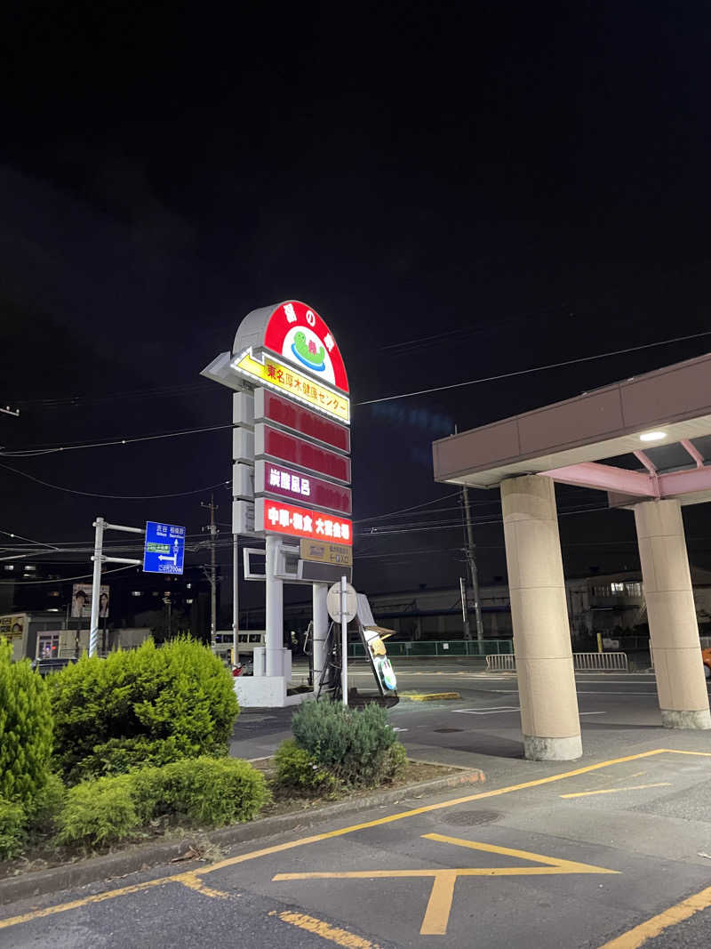 ピノすけさんの湯乃泉 東名厚木健康センターのサ活写真