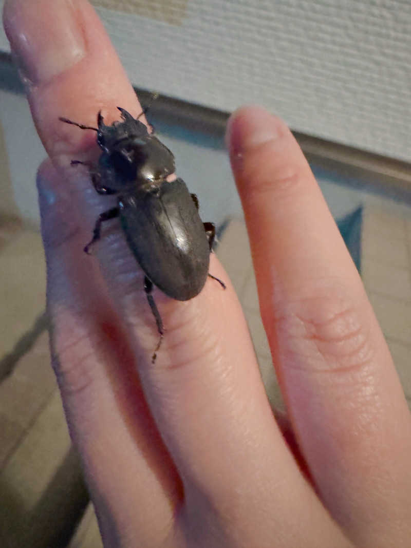 偶然ちゃん🍔さんの天然温泉 仙台コロナの湯のサ活写真