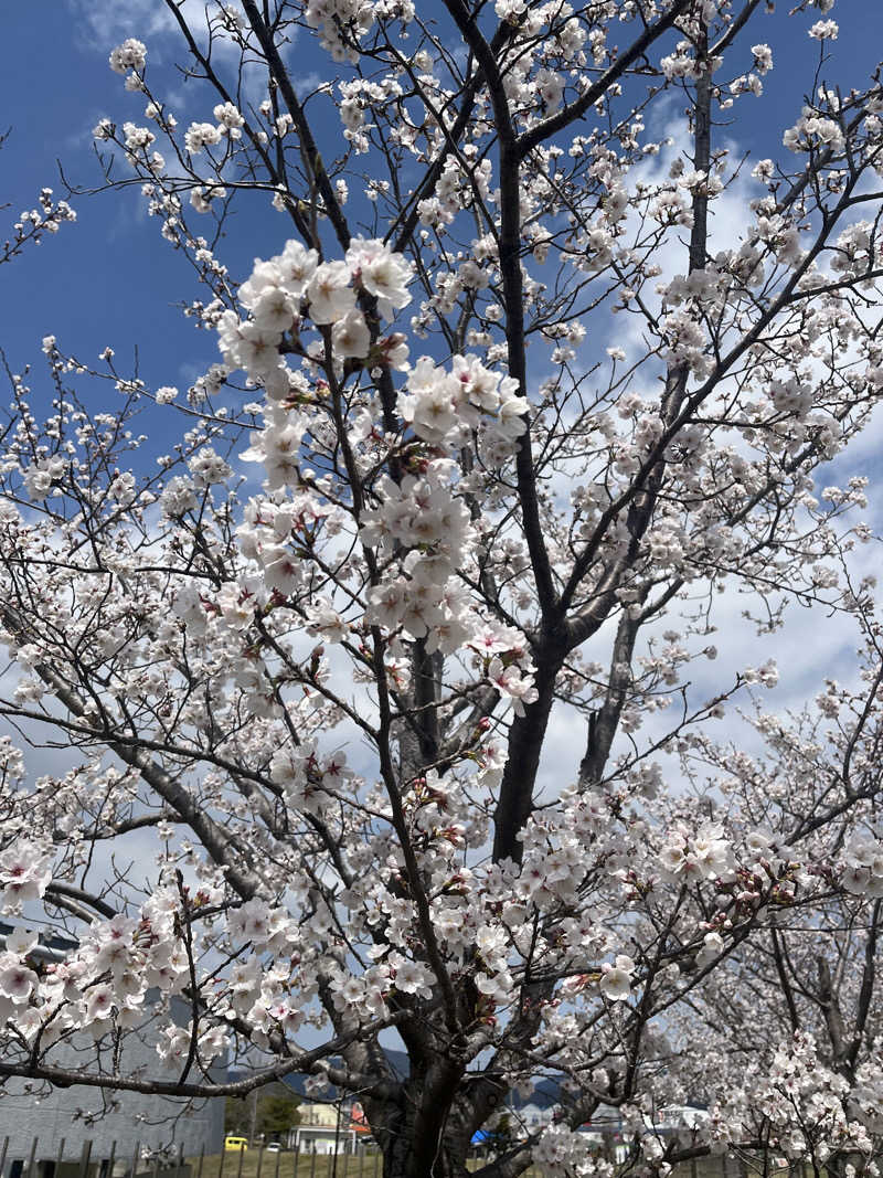 Satomi2637さんの吉野川温泉のサ活写真