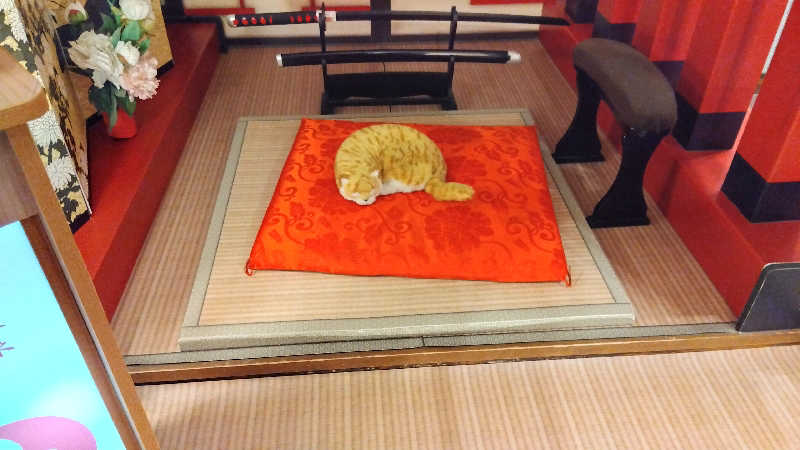 BSデカいひとさんの天然温泉 満天の湯のサ活写真