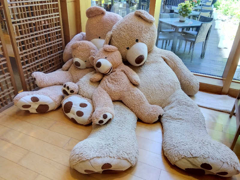 BSデカいひとさんの綱島源泉 湯けむりの庄のサ活写真