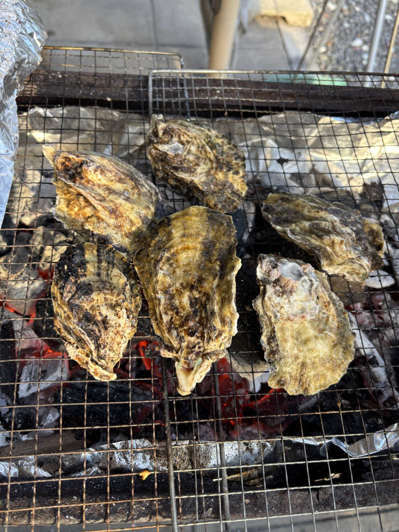 あやまとさんの塩入温泉のサ活写真