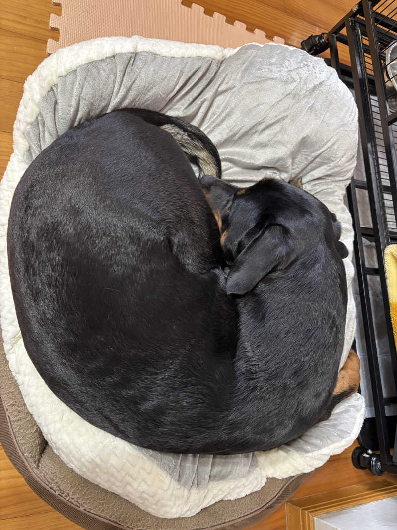 あやまとさんの癒しの里 さらい 湯の華のサ活写真