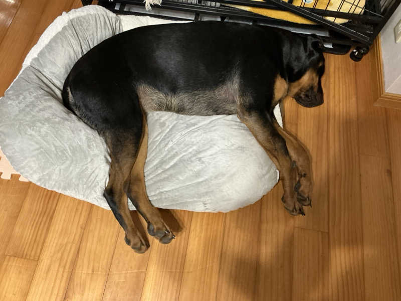 あやまとさんの癒しの里 さらい 湯の華のサ活写真