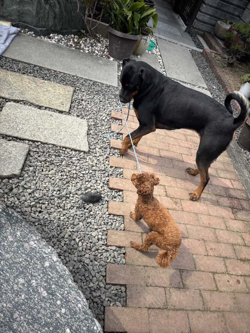 あやまとさんの丸亀ぽかぽか温泉のサ活写真