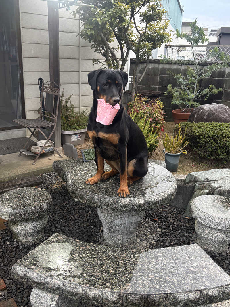 あやまとさんの丸亀ぽかぽか温泉のサ活写真