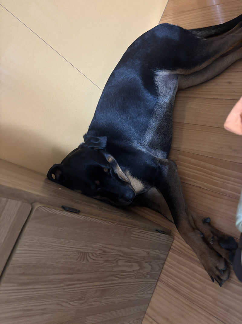 あやまとさんの丸亀ぽかぽか温泉のサ活写真