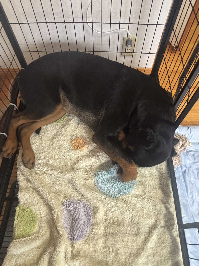 あやまとさんのたかせ天然温泉のサ活写真