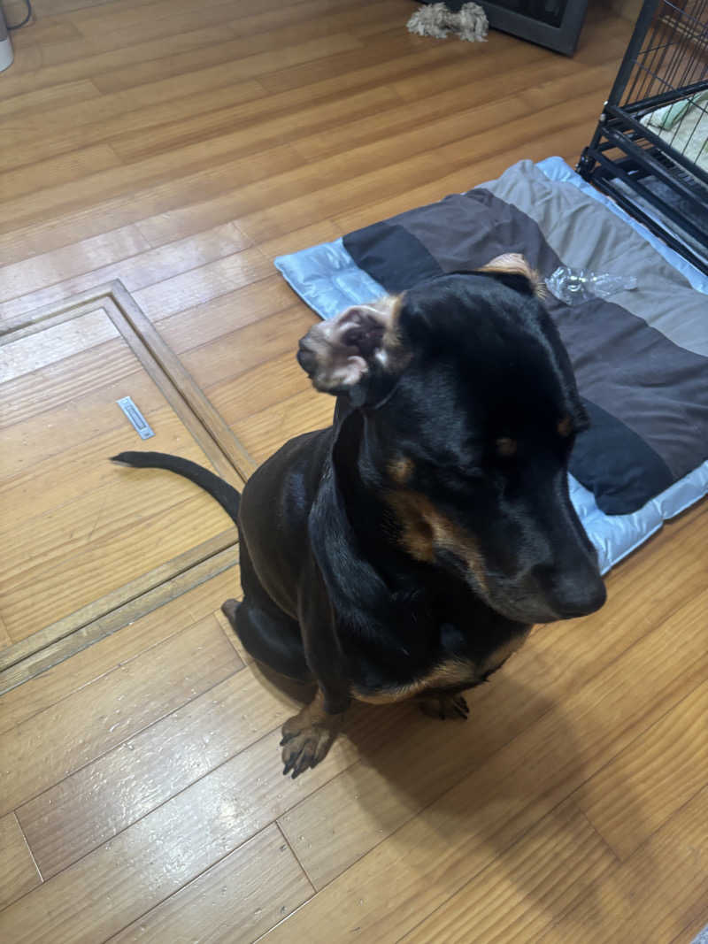 あやまとさんの天然温泉きららのサ活写真