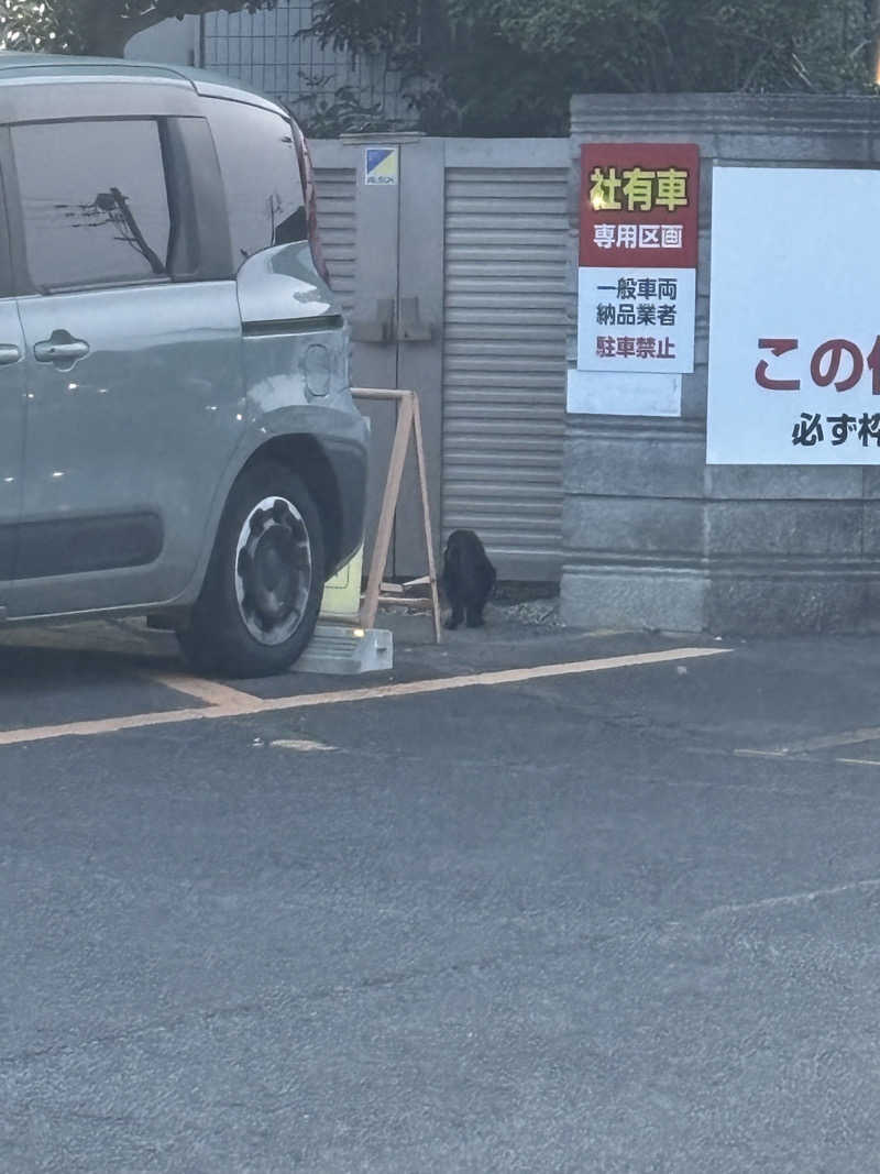 あやまとさんの瀬戸大橋四国健康村のサ活写真