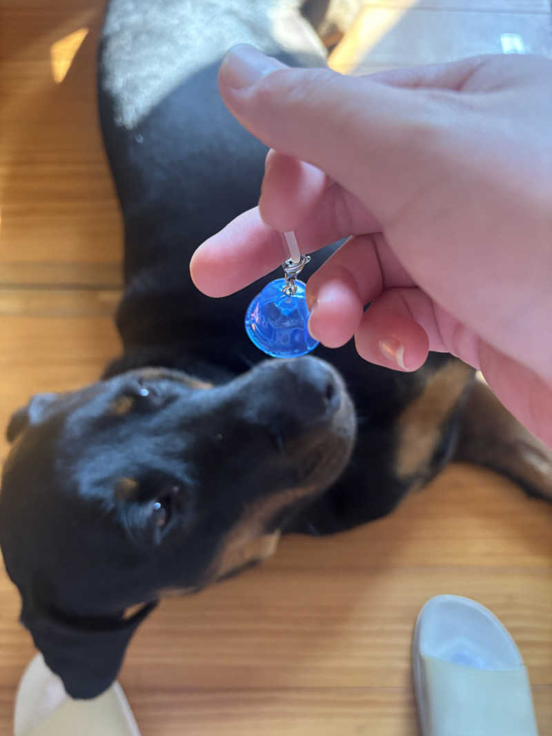 あやまとさんの丸亀ぽかぽか温泉のサ活写真