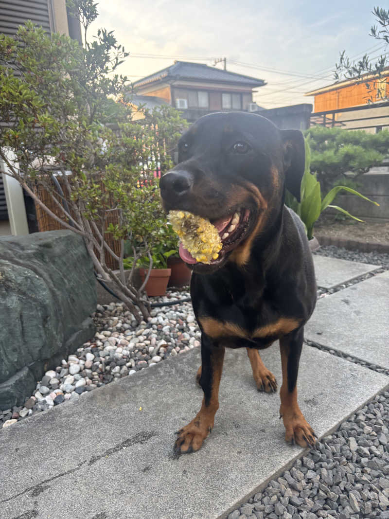 あやまとさんの丸亀ぽかぽか温泉のサ活写真