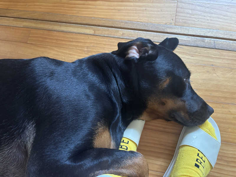 あやまとさんの丸亀ぽかぽか温泉のサ活写真