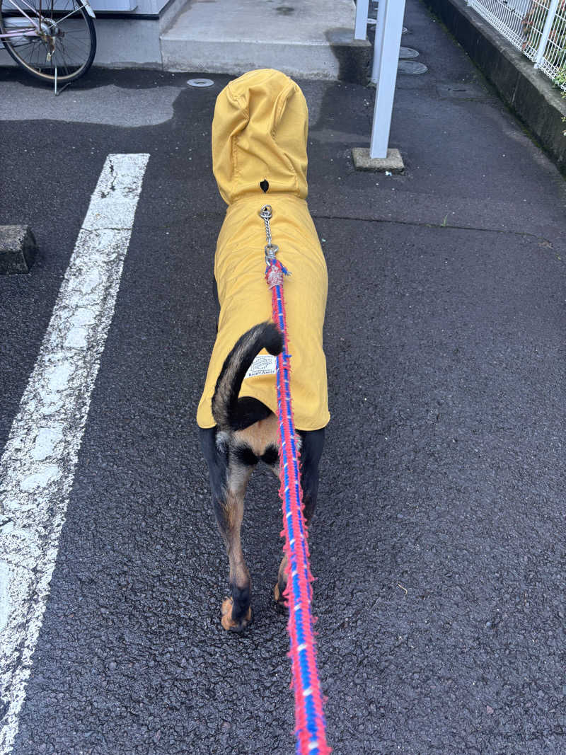 あやまとさんの丸亀ぽかぽか温泉のサ活写真