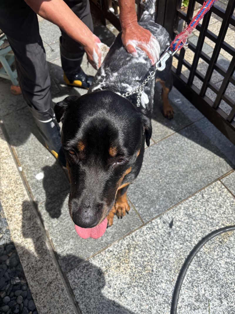 あやまとさんのエピアみかどのサ活写真