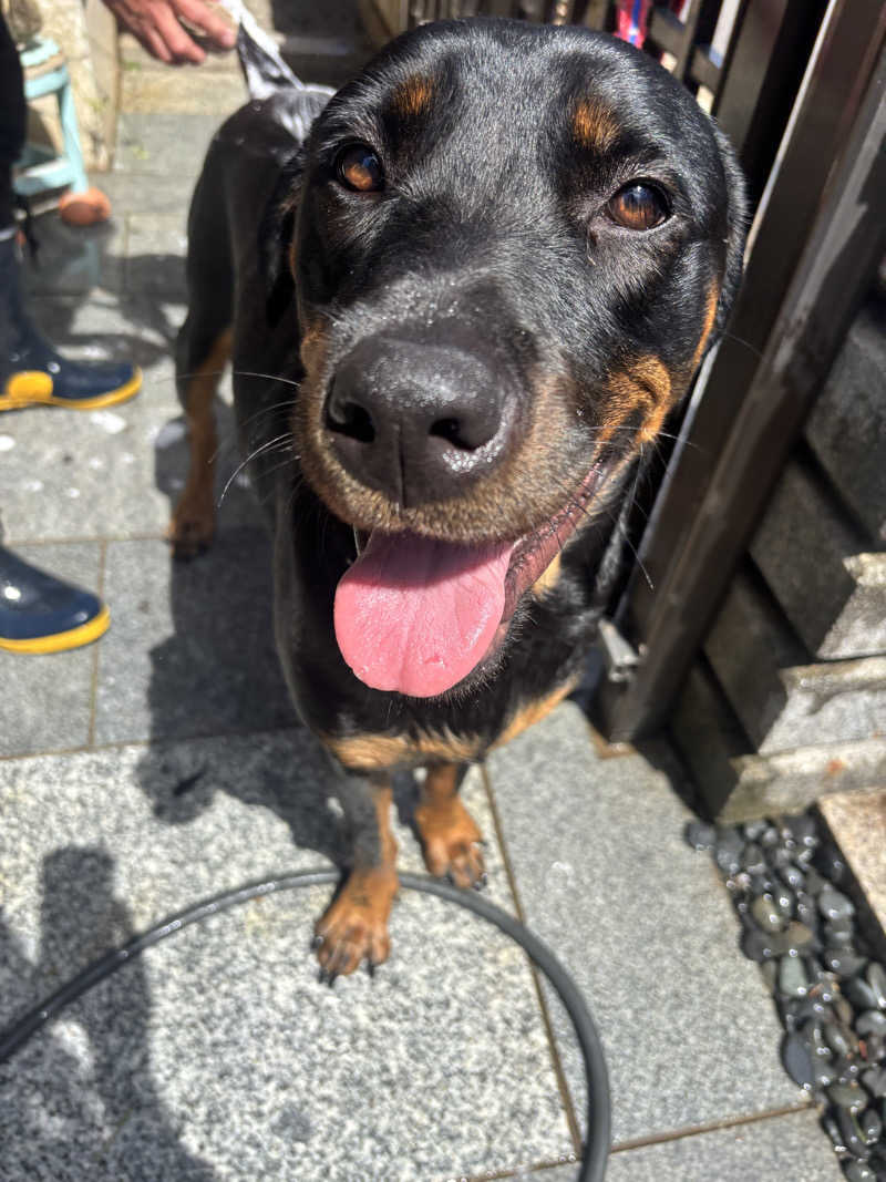 あやまとさんのエピアみかどのサ活写真