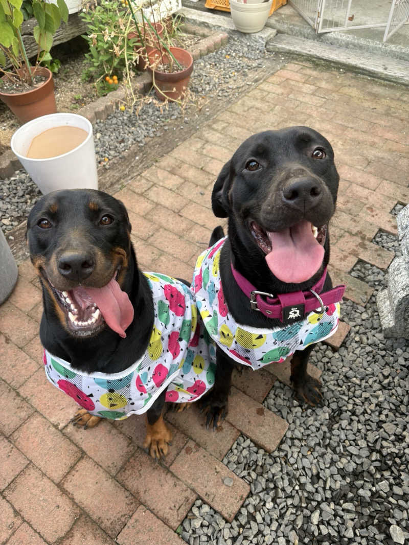 あやまとさんのたからだの里環の湯のサ活写真