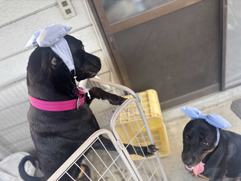 あやまとさんのたからだの里環の湯のサ活写真