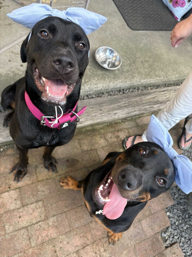 あやまとさんのたからだの里環の湯のサ活写真