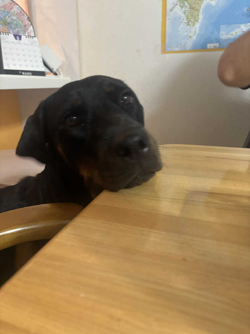 あやまとさんの瀬戸大橋四国健康村のサ活写真