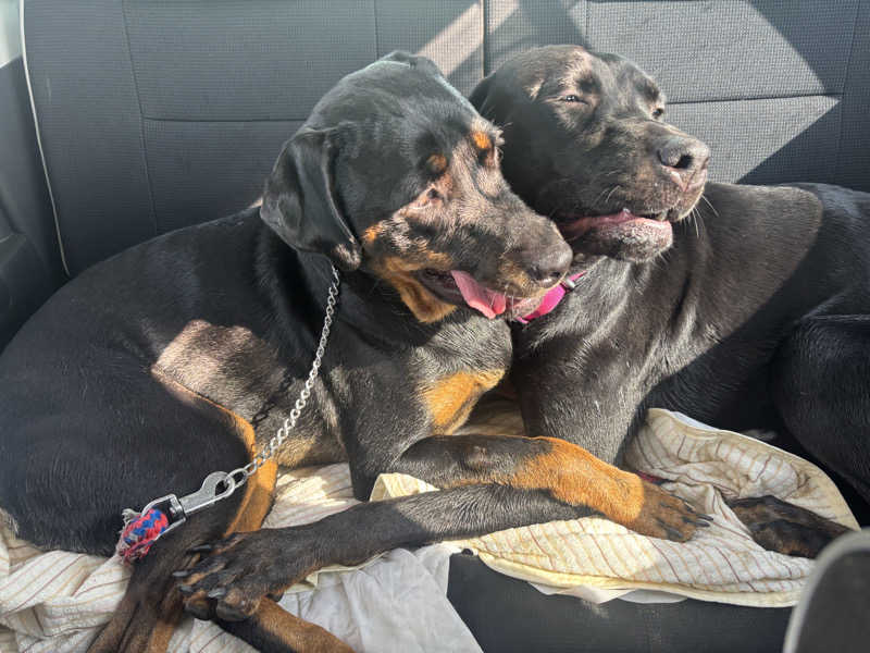 あやまとさんの瀬戸大橋四国健康村のサ活写真