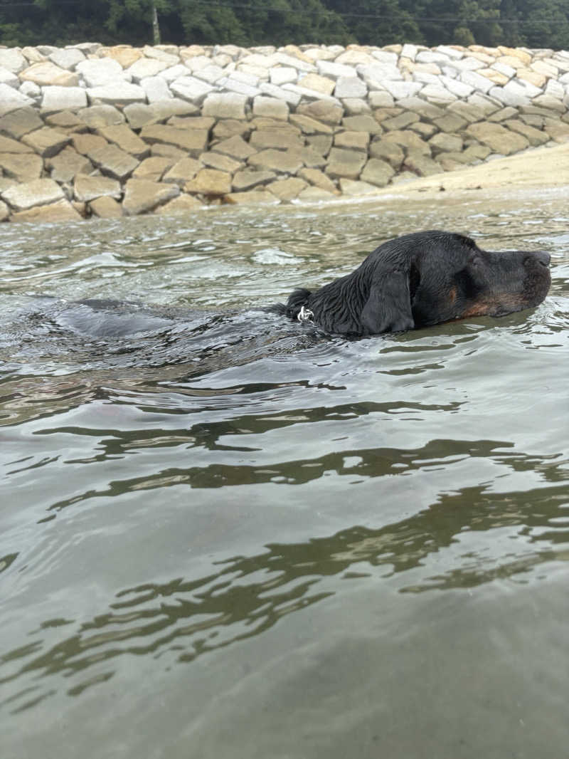 あやまとさんのあかね温泉のサ活写真