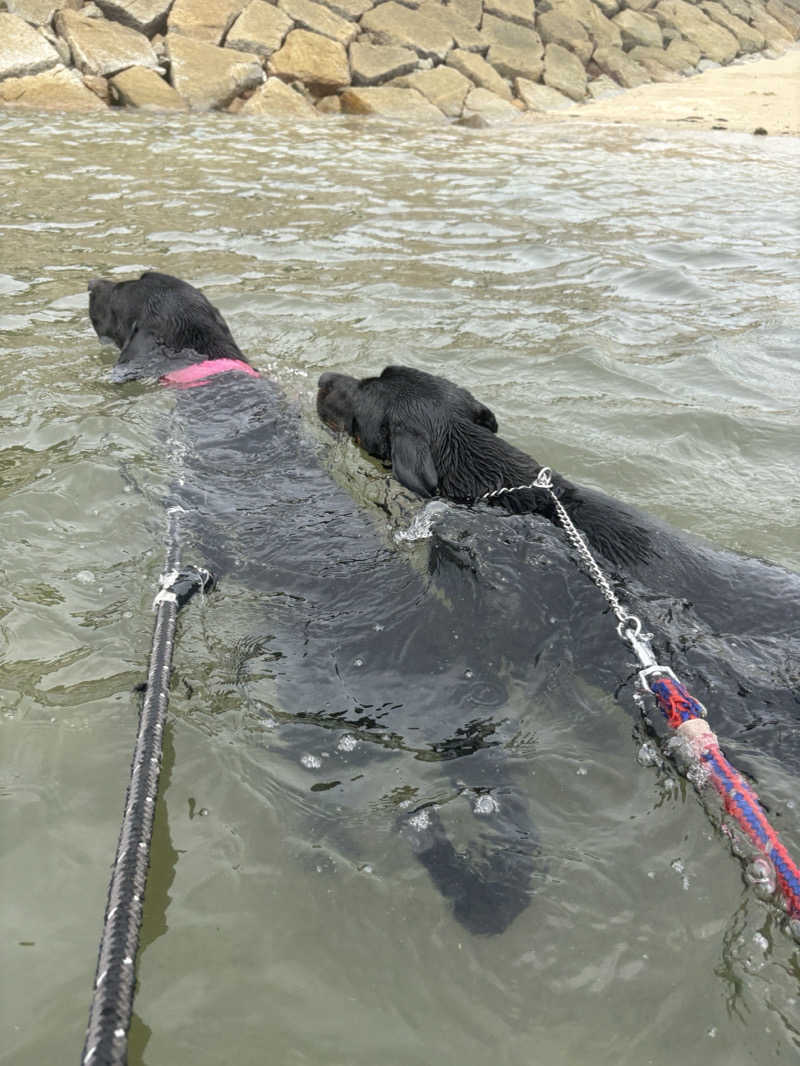 あやまとさんのあかね温泉のサ活写真