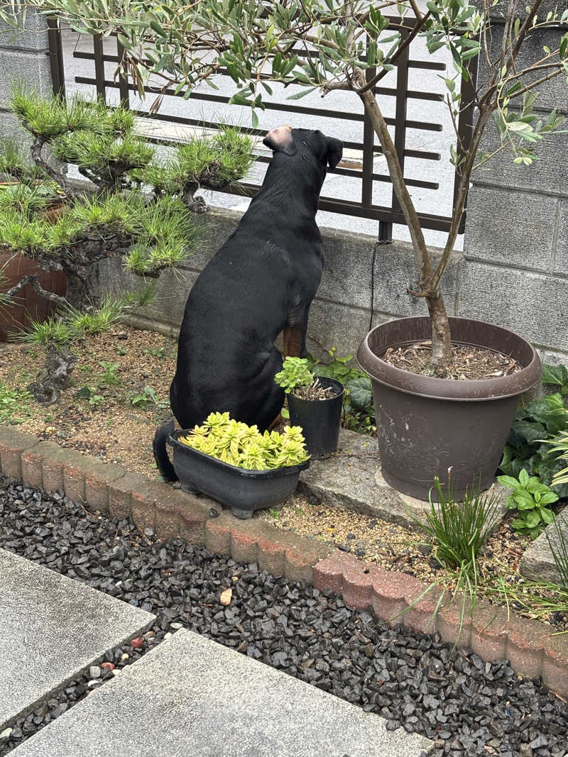 あやまとさんの丸亀ぽかぽか温泉のサ活写真