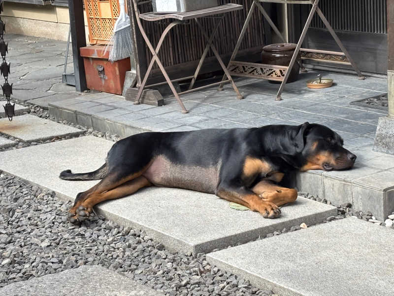 あやまとさんの瀬戸大橋四国健康村のサ活写真