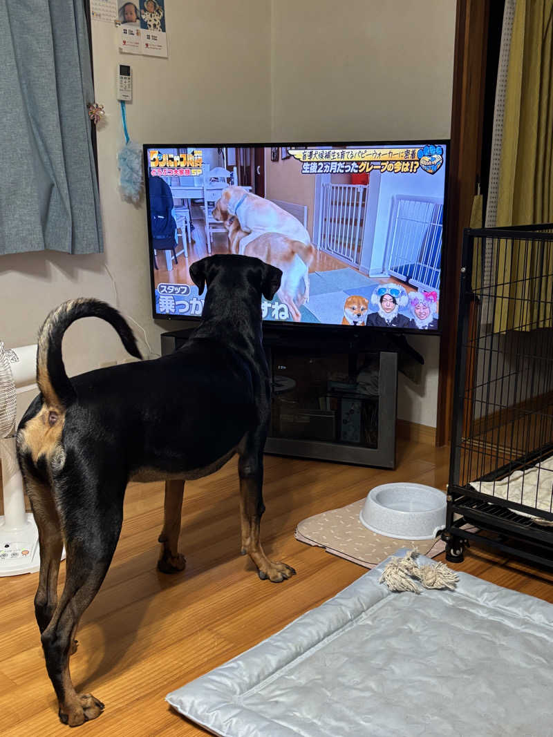 あやまとさんの塩入温泉のサ活写真