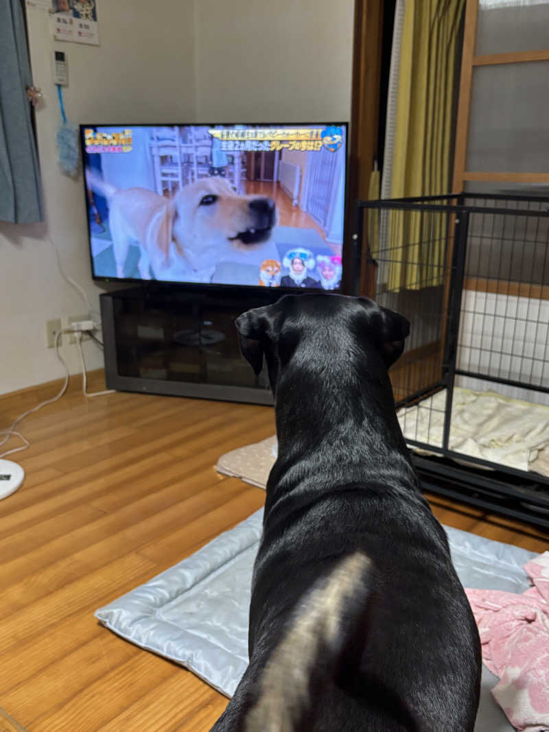 あやまとさんの塩入温泉のサ活写真