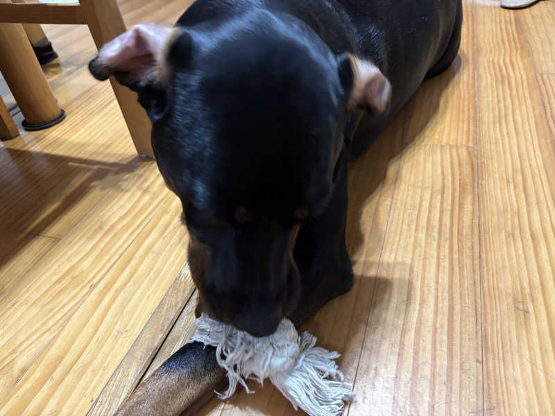 あやまとさんの塩入温泉のサ活写真