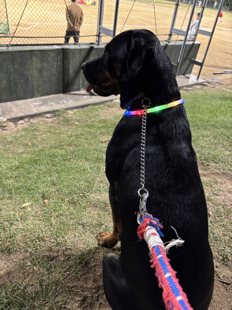 あやまとさんの丸亀ぽかぽか温泉のサ活写真