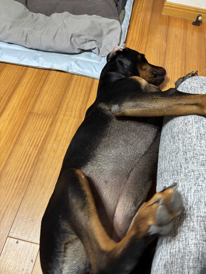 あやまとさんの丸亀ぽかぽか温泉のサ活写真