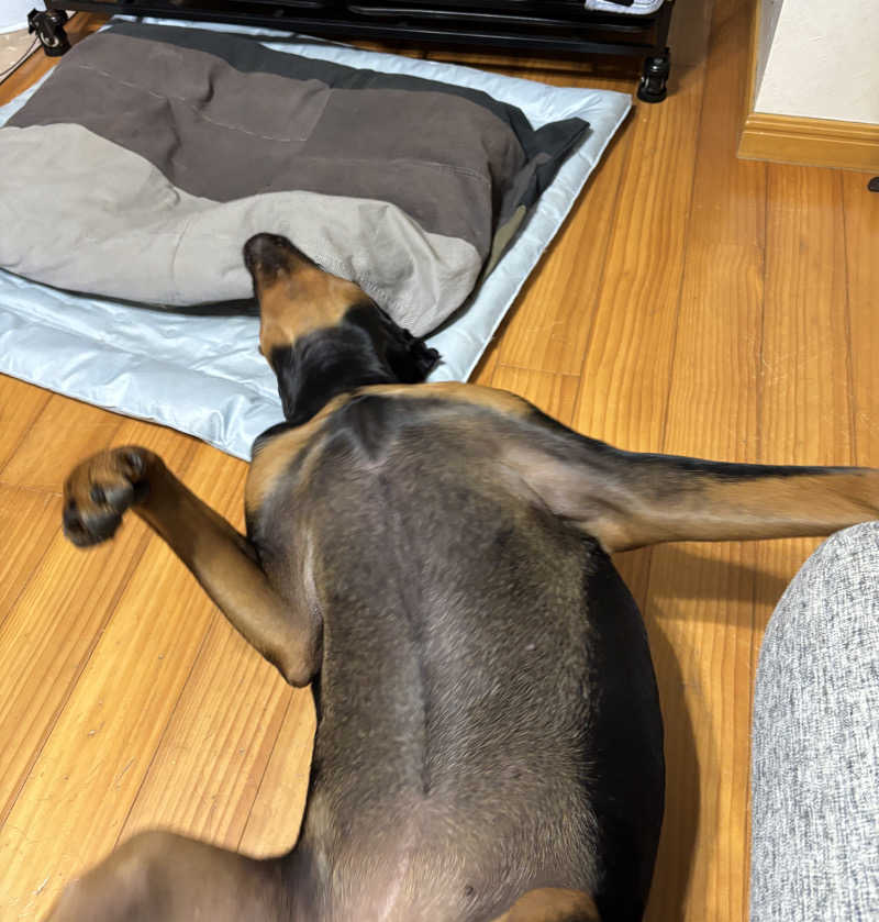 あやまとさんの丸亀ぽかぽか温泉のサ活写真